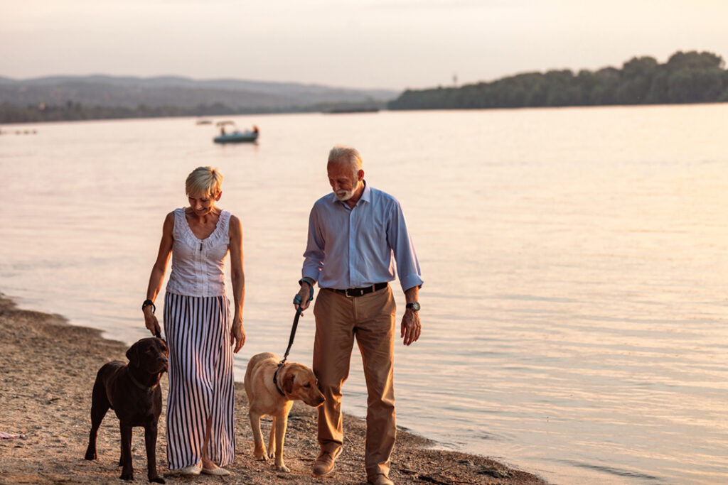 Shot of a happy senior couple walking by the river with their dogs