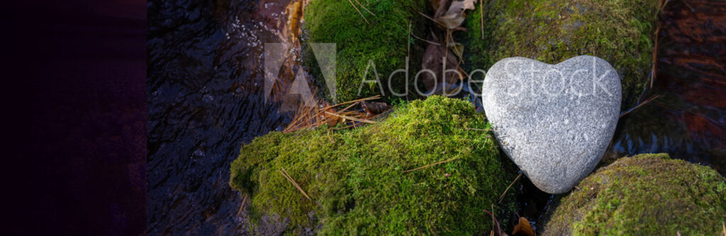 A close up of some green moss on the ground